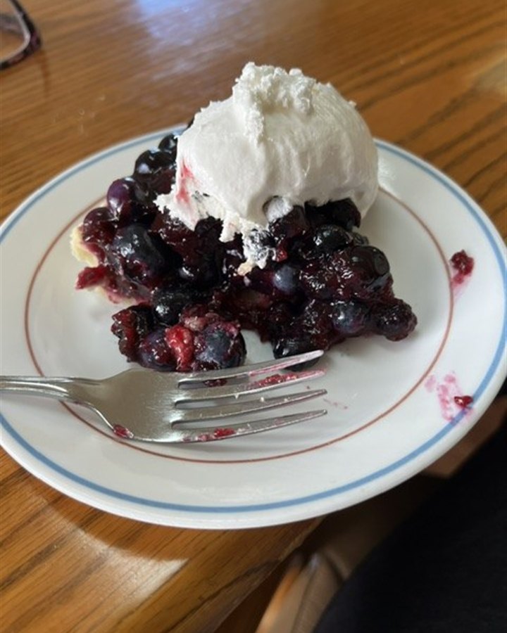 A slice of blueberry pie with whipped cream.